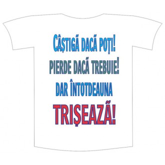 Tricou imprimat "Castiga daca poti"