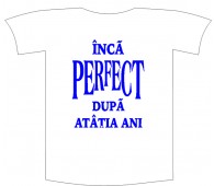 Tricou imprimat "Inca perfect"