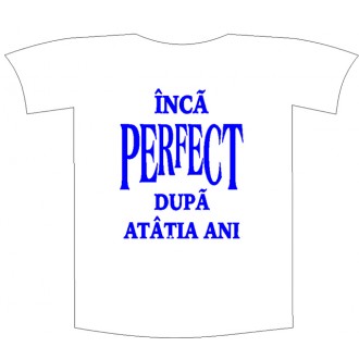 Tricou imprimat "Inca perfect"